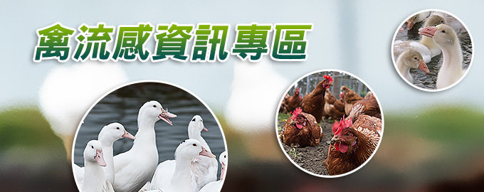 禽流感資訊專區(http://ai.gov.tw/)_將另開新視窗