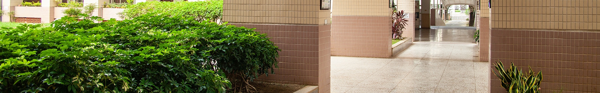 教務處